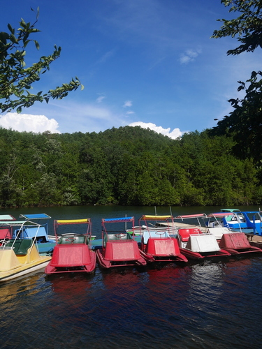 P1580486.JPG