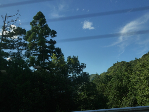 P1580525.JPG