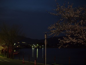 P4062517.JPG