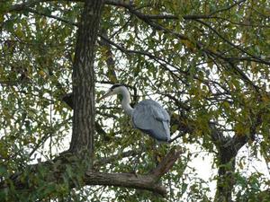 bg_P1040774.jpg