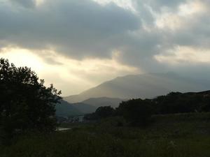 bg_P1150619.jpg