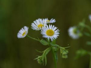 bg_P1150625.jpg