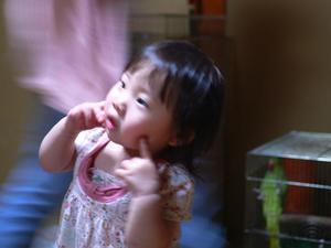 bg_P1150824.jpg