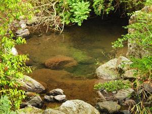 bg_P6032215.jpg