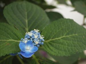 bg_P6193262.jpg