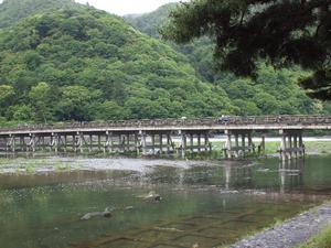 bg_P6213454.jpg
