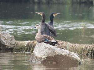 bg_P7054069.jpg
