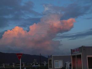 bg_P8075070.jpg