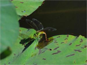 bg_P8145943.jpg
