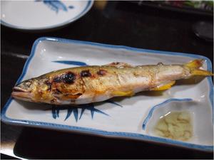 bg_P8196133.jpg