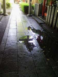 img007.jpg