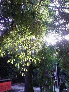 img008.jpg