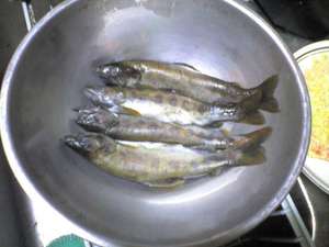 img017.jpg