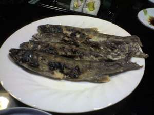 img019.jpg