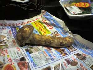 img039.jpg