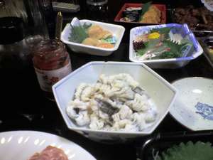 img040.jpg