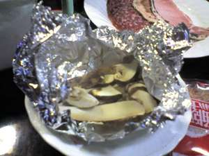img041.jpg