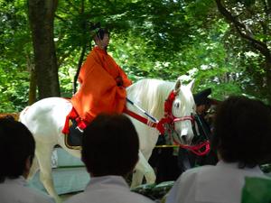 th_P1070633.jpg