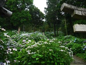 th_P1090922.jpg