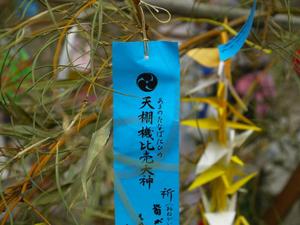 th_P1100013.jpg