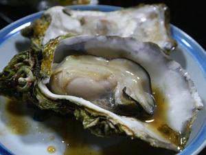 th_P1120640.jpg